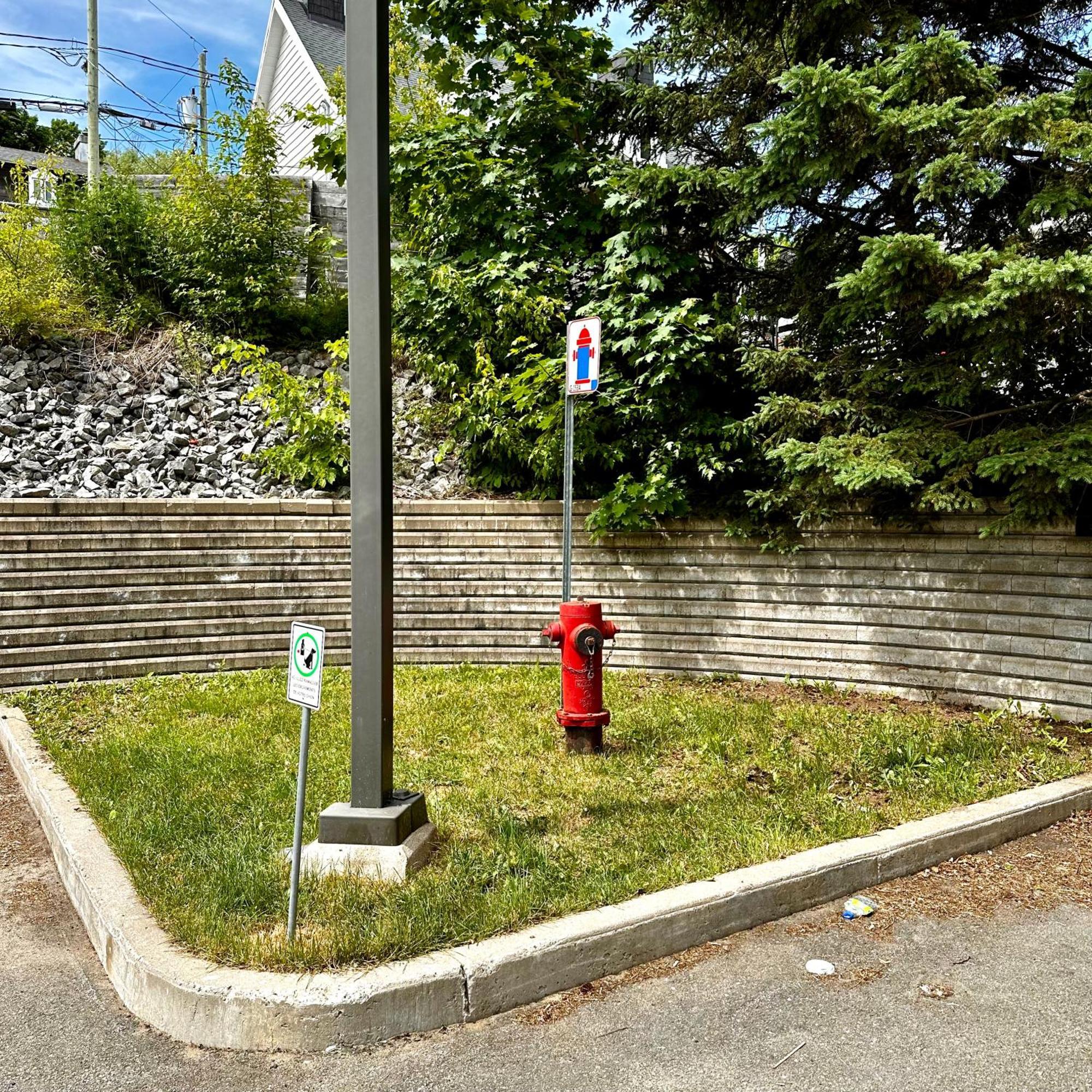 Initial - Butterfly - Chutes-Montmorency Boischatel Exterior photo